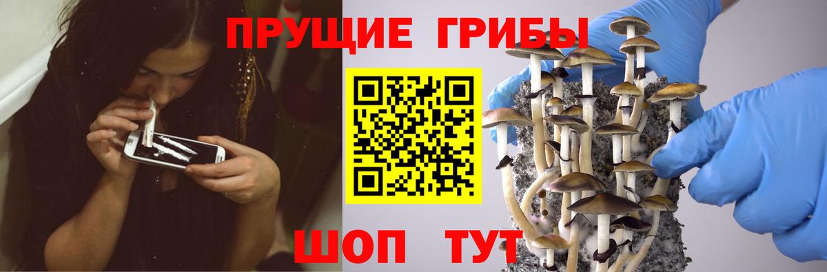 Галлюциногенные грибы мицелий  Вход с VPN  Новочеркасск 